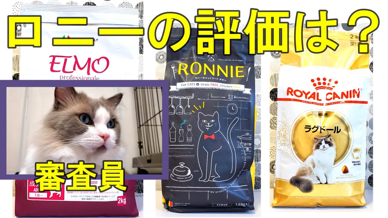 猫エサ　プレミアムフードのロニー（ＲＯＮＮＩＥ）　うちの猫の反応は？　ラグドール猫　【モフニャン】part226