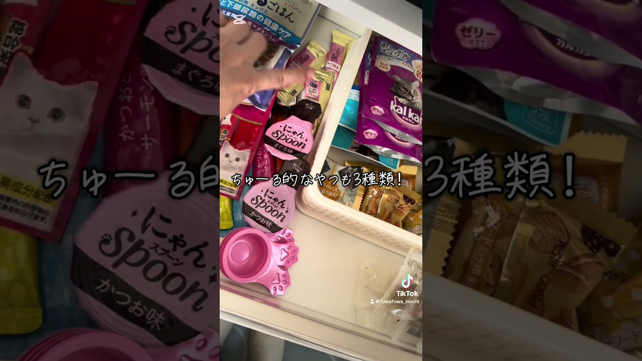 猫2匹のご飯収納の現実…… #マンチカン #cat #サイベリアン #整理収納 #片付け #保護猫