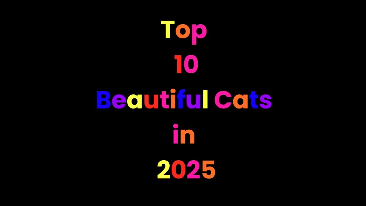 Top 10 Most Beautiful Cat Breeds in the World 🐱✨