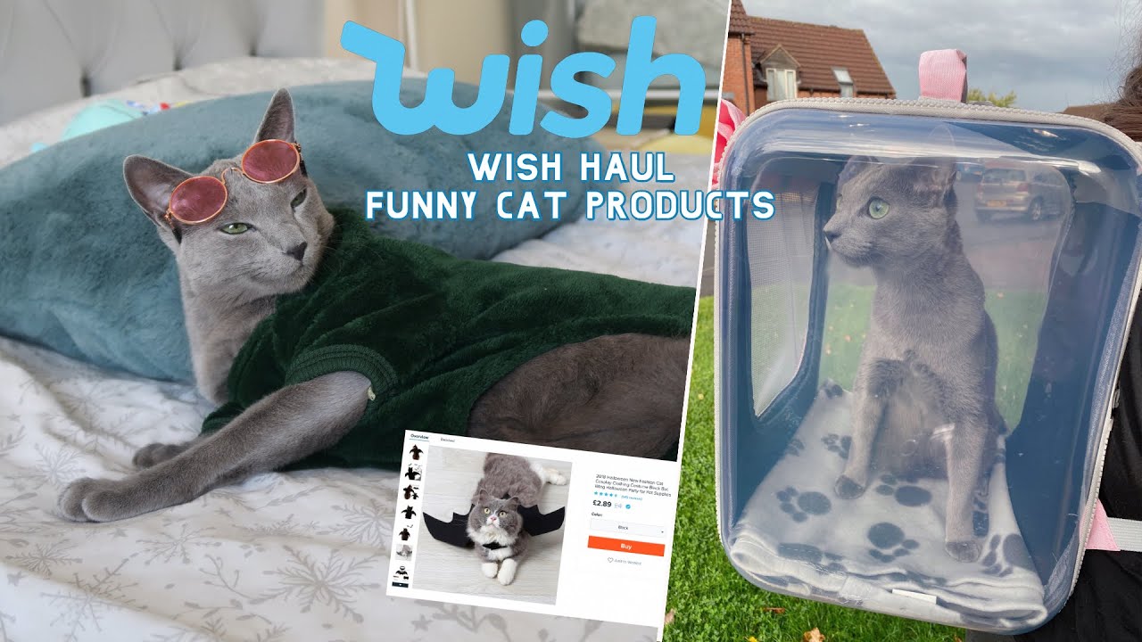 WISH HAUL | funny cat products