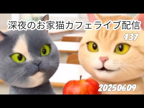 深夜のお家猫カフェライブ配信 ４３７