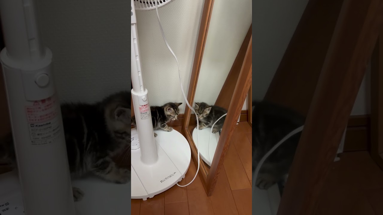 鏡の中の敵と思いきや・・・