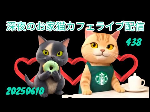 深夜のお家猫カフェライブ配信 ４３８