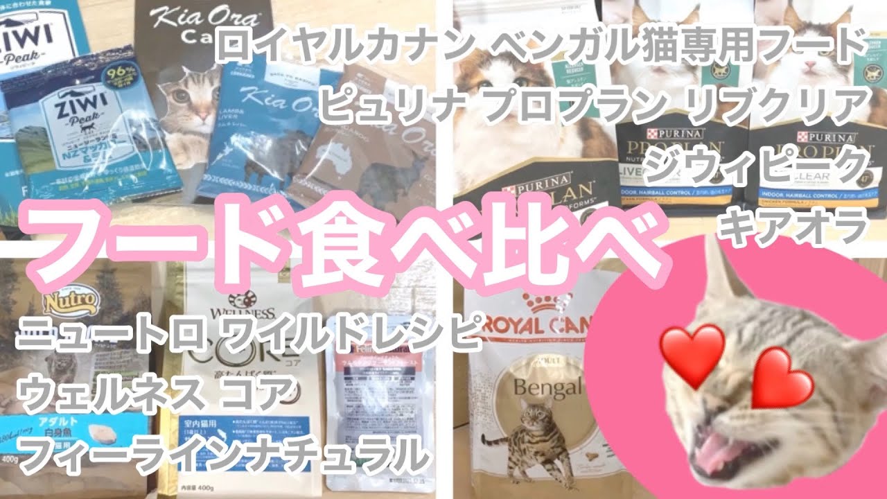 好き嫌いが多いシルバーベンガルがフードの食べ比べをしてみた