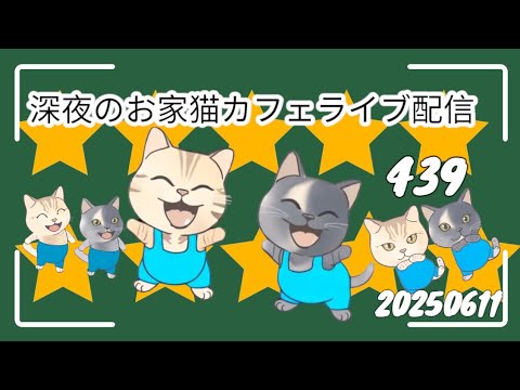深夜のお家猫カフェライブ配信 ４３９