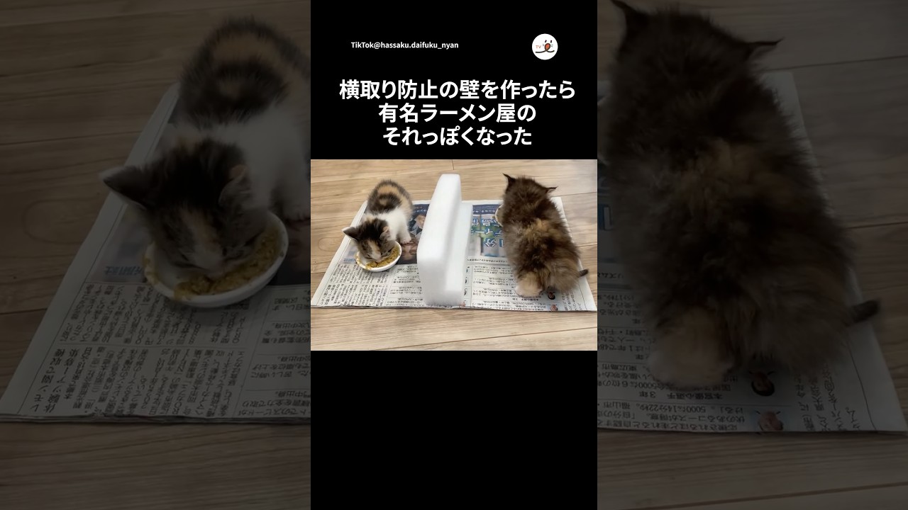 横取り防止の壁を作ったら……🍜｜PECO