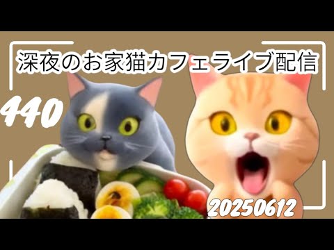深夜のお家猫カフェライブ配信 ４４０