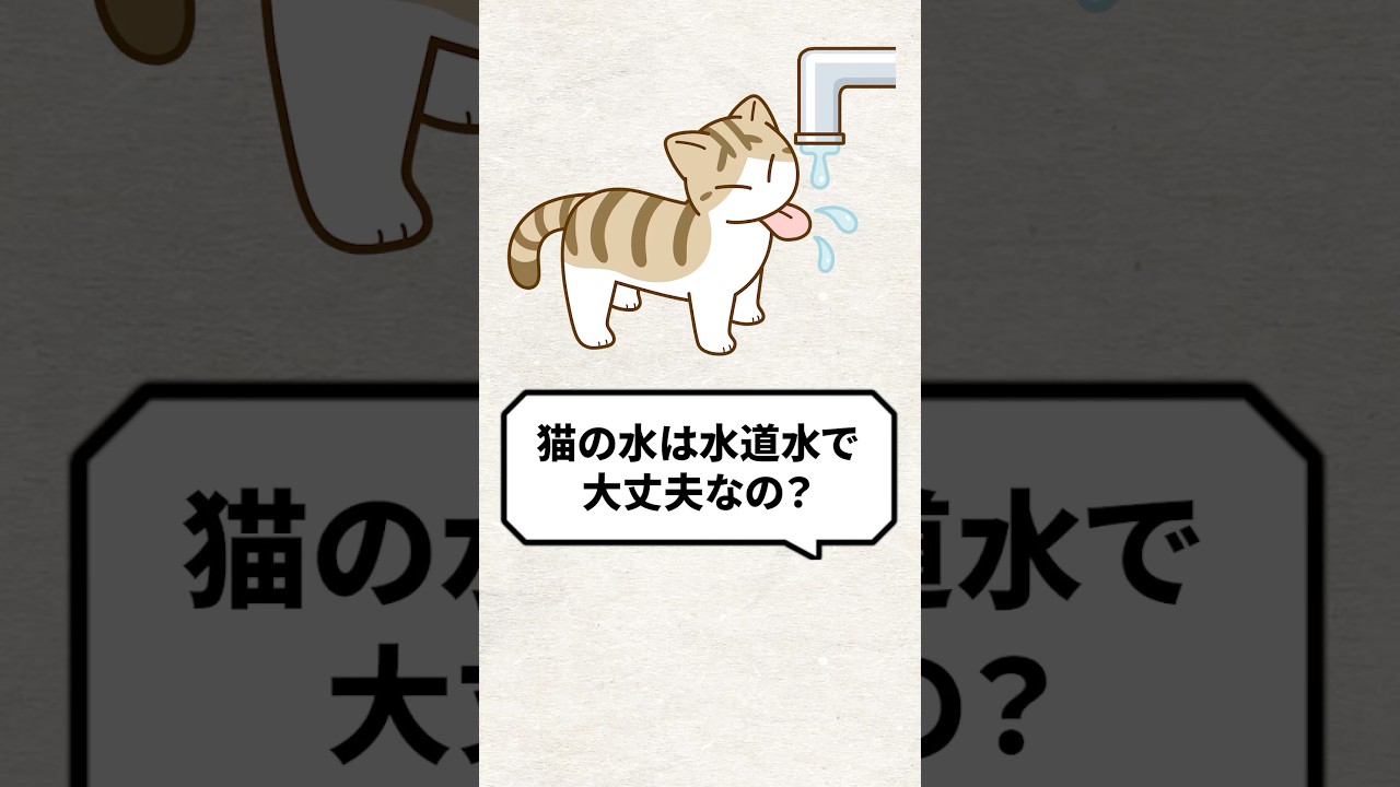 Q：猫の水は水道水で大丈夫なの？ #猫 #猫好きさんと繋がりたい #ねこ
