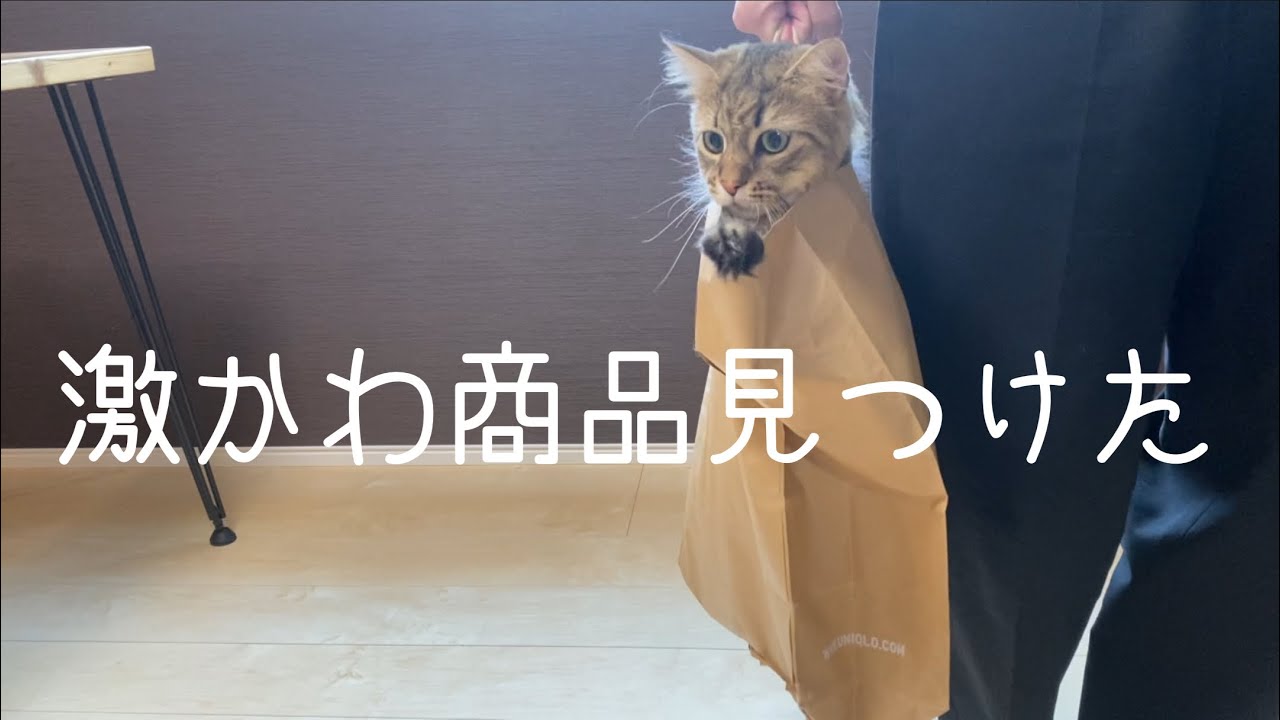 【サイベリアン】ユニクロでサイベリアン買ってみた