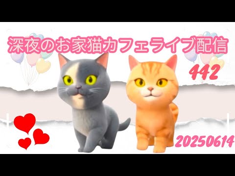 深夜のお家猫カフェライブ配信 ４４２