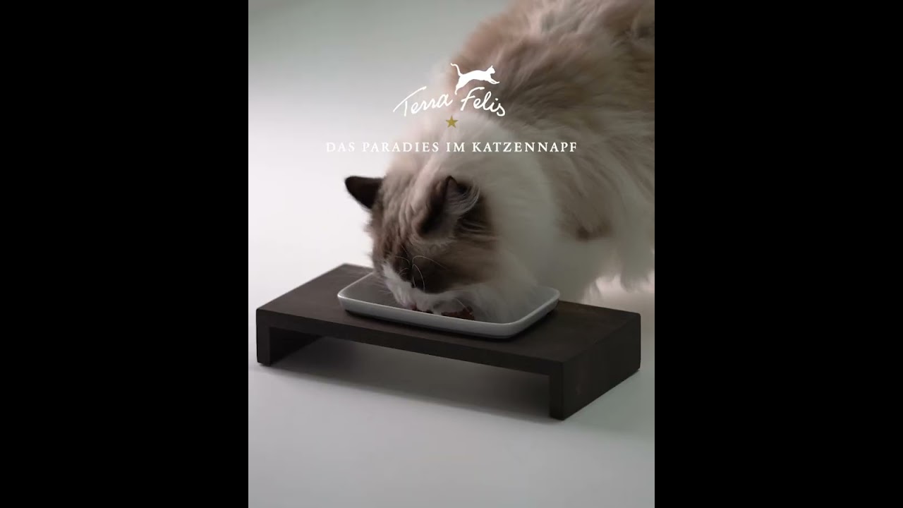 キャットフードの品質革命【ラグドール編】