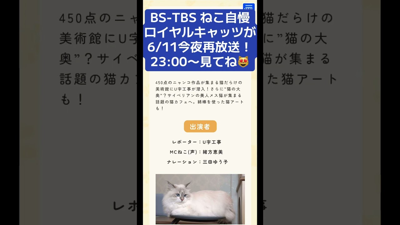 BS-TBS ねこ自慢に吉祥寺の#サイベリアン 専門店のロイヤルキャッツが今夜6/11 23:00〜23:54 再放送されます❣️見てね😻#子猫 をお探しの方も必見です❣️#ペットショップ