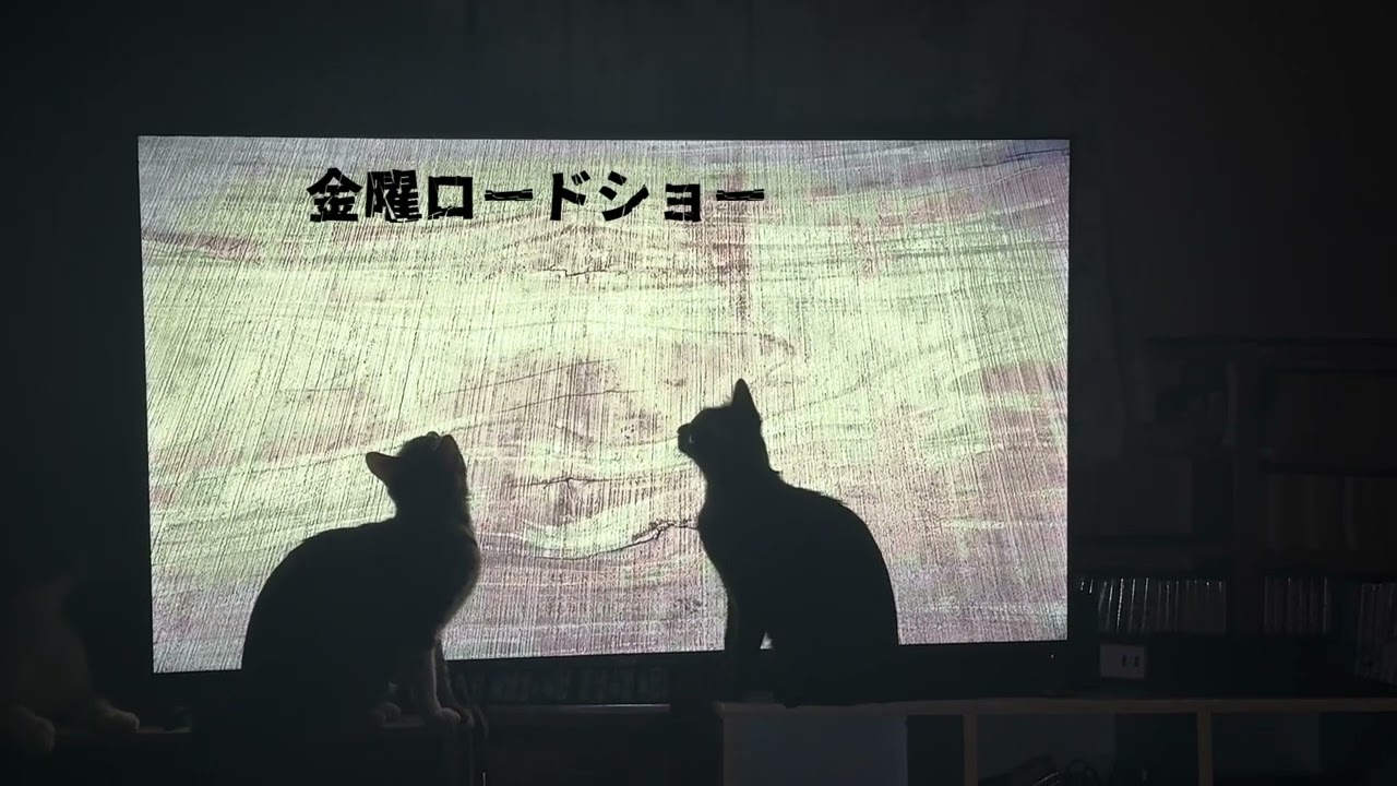 金曜ロードショー