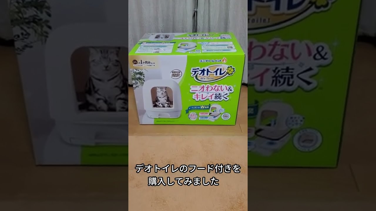 猫トイレってこうなってるの？【可愛いマンチカン】