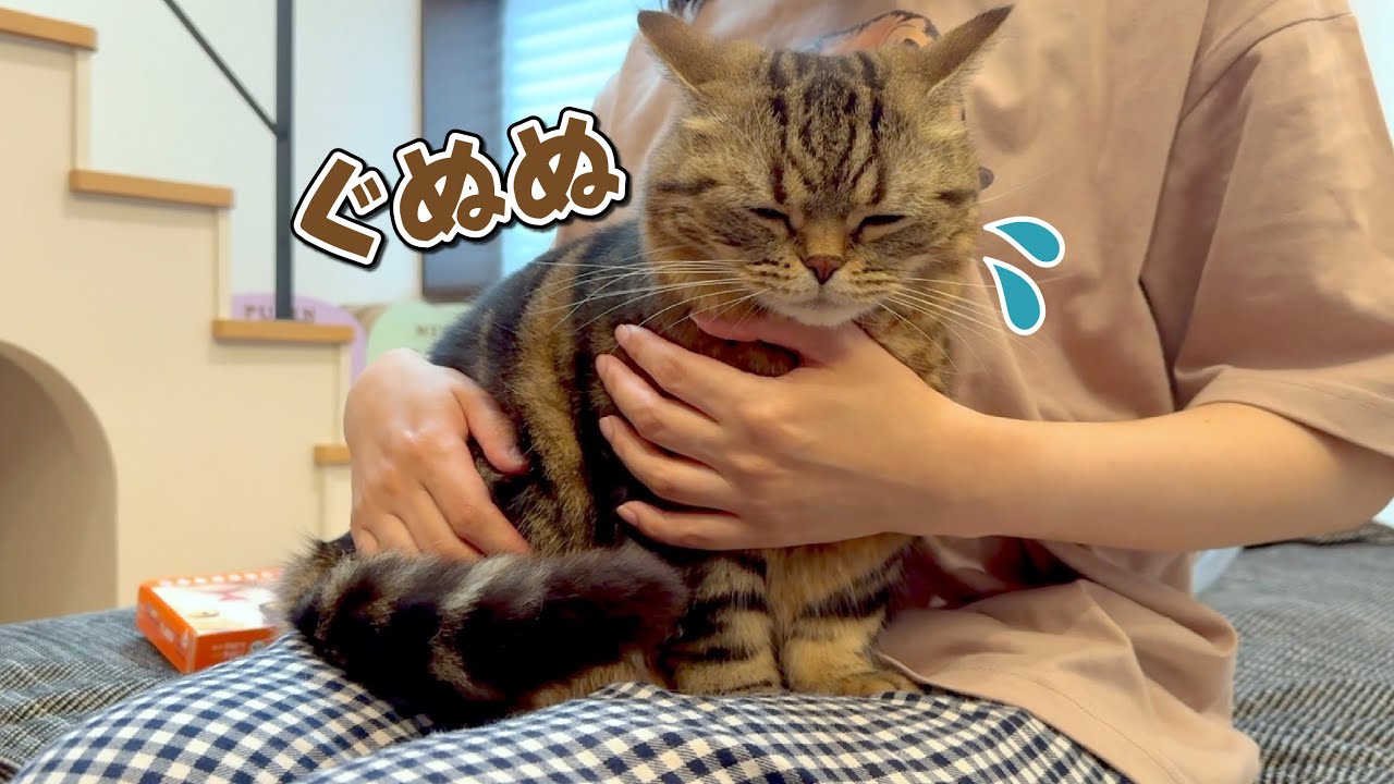 大嫌いな薬に顔をくしゃくしゃにしながら頑張る猫が可愛すぎる…！