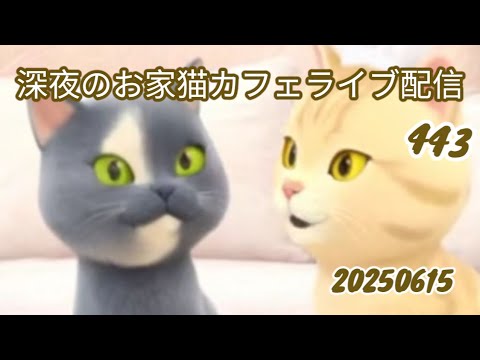 深夜のお家猫カフェライブ配信 ４４３