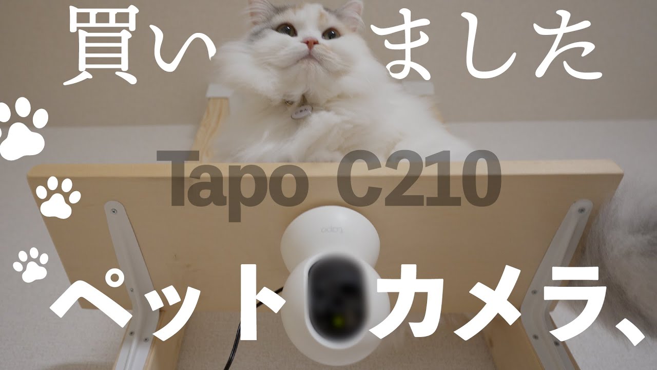 【猫Vlog】猫ちゃんに、ペットカメラを買いました。| TP-Link Tapo C210 【ペットカメラ】