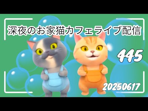 深夜のお家猫カフェライブ配信 ４４５