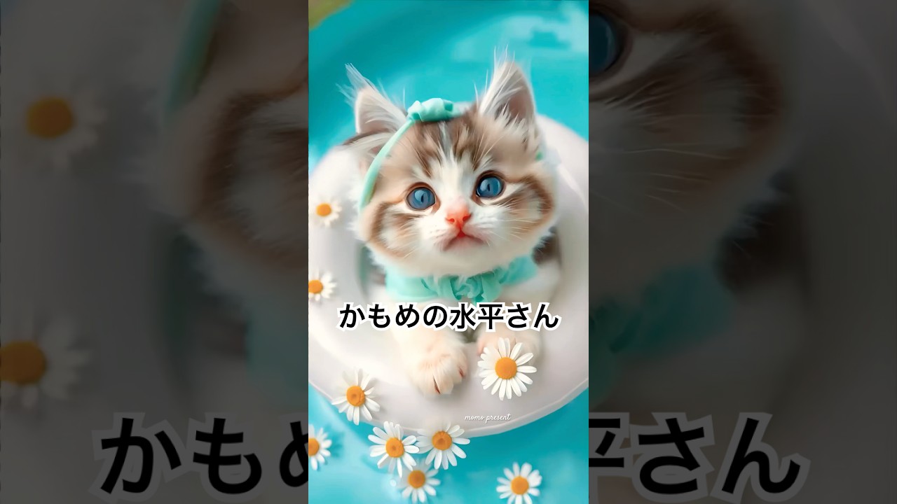 かもめの水平さん🏝️✨