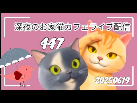 深夜のお家猫カフェライブ配信 ４４７