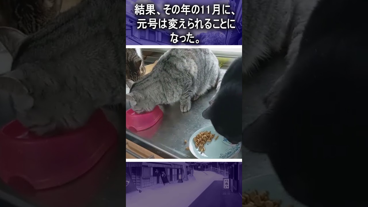 語呂が悪くて変えられた元号がある　#Shorts #猫　#cat　#雑学