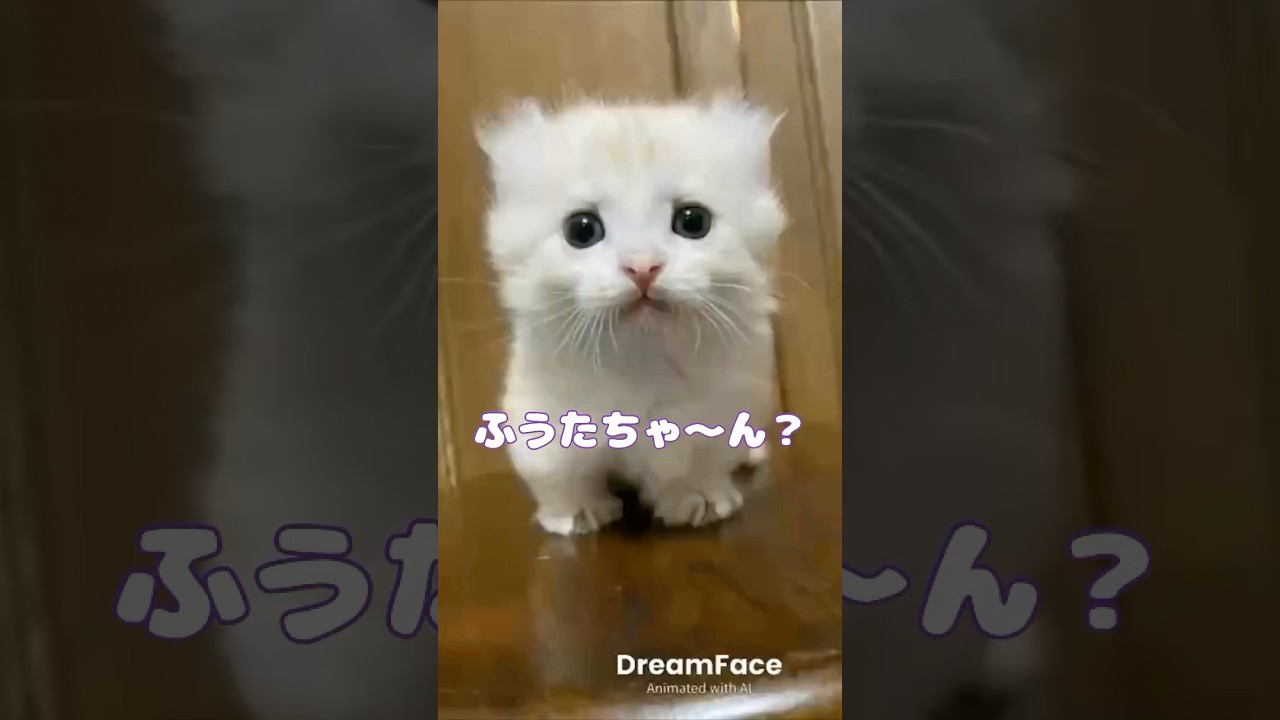 チョコミントよりもあなた！！