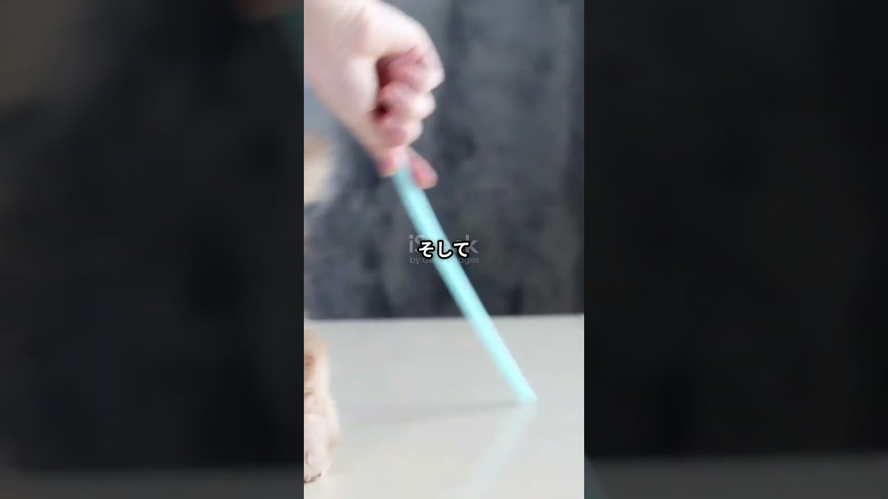 30秒でわかる！ジャパニーズボブテイルくるんとしっぽの縁起猫