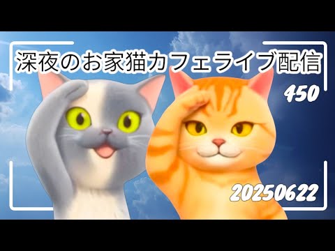 深夜のお家猫カフェライブ配信 ４５０