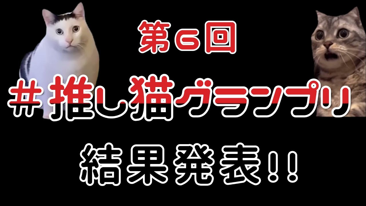 【祝！快挙】第６回推し猫グランプリ結果発表