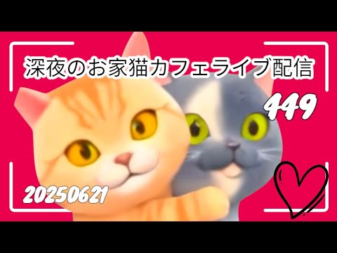 深夜のお家猫カフェライブ配信 ４４９