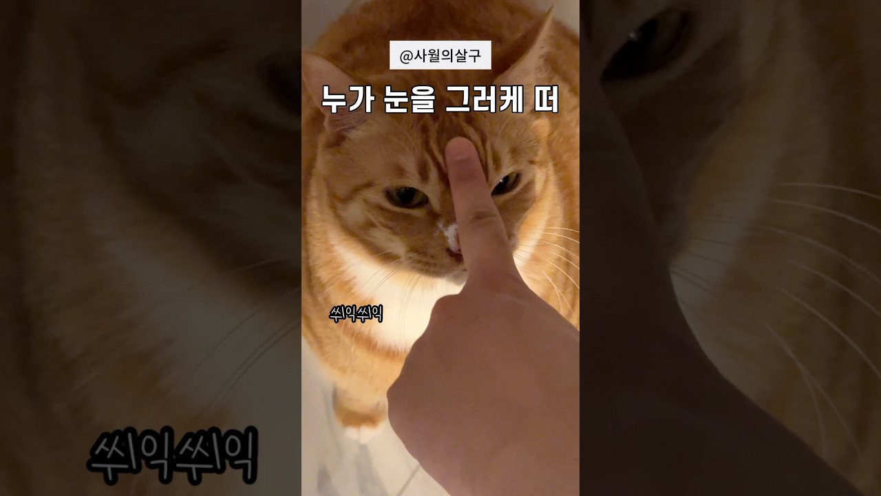 눈깔 모야~ #shorts