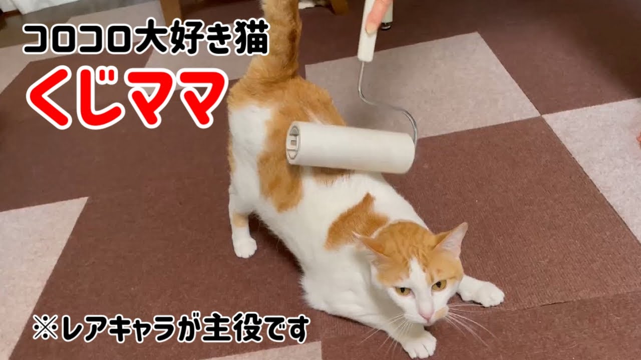 【日曜日なじゅDay】本日の主役は、珍しく「くじママ」です