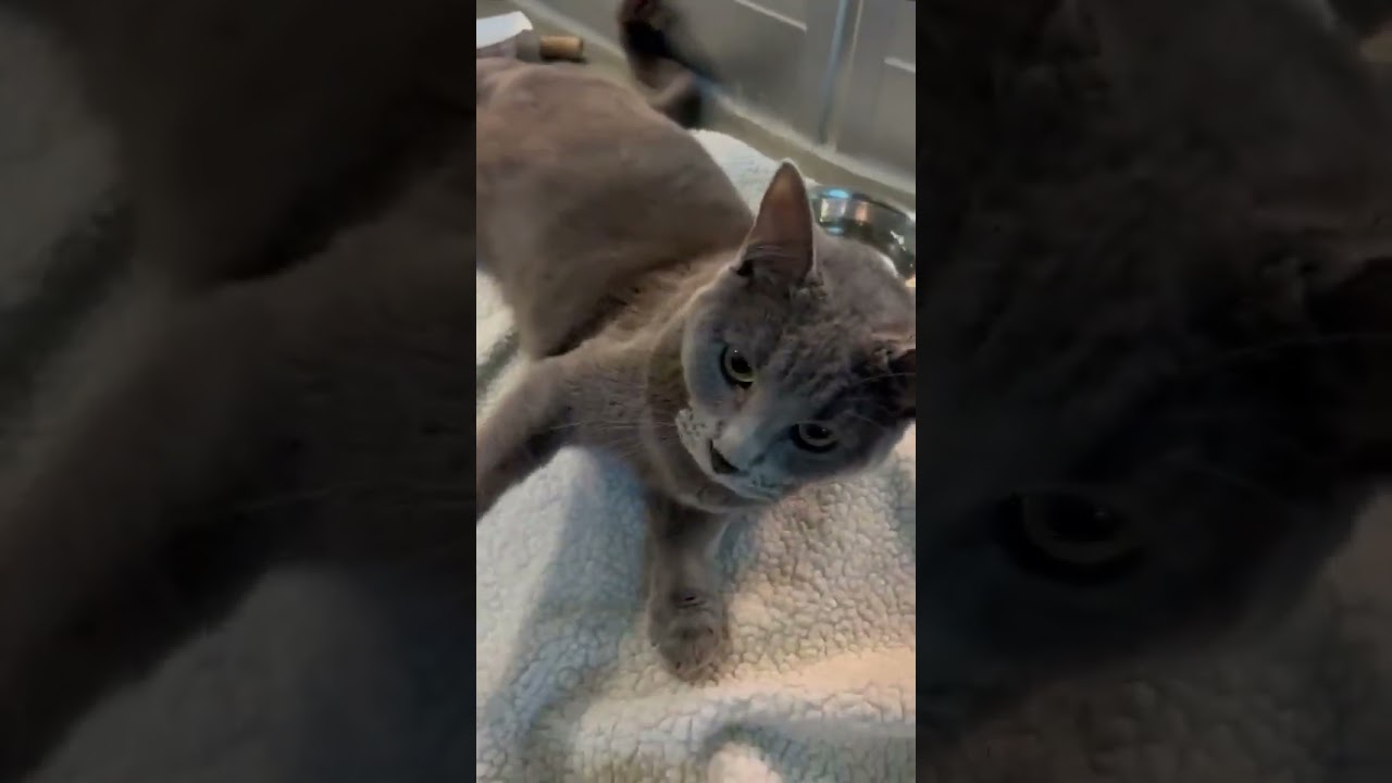 Meet Angel!