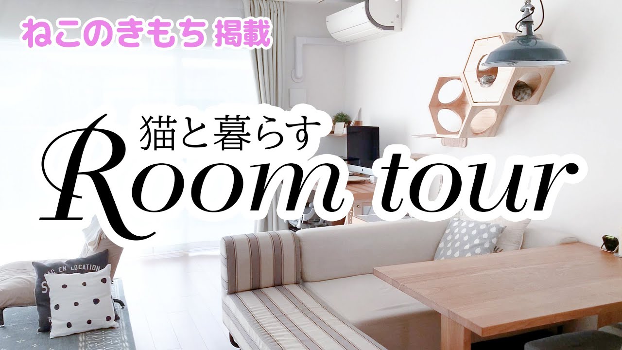 SUB）ねこのきもち掲載！猫と暮らすインテリア・ルームツアー/Room tour for living with cats［スコティッシュフォールド］