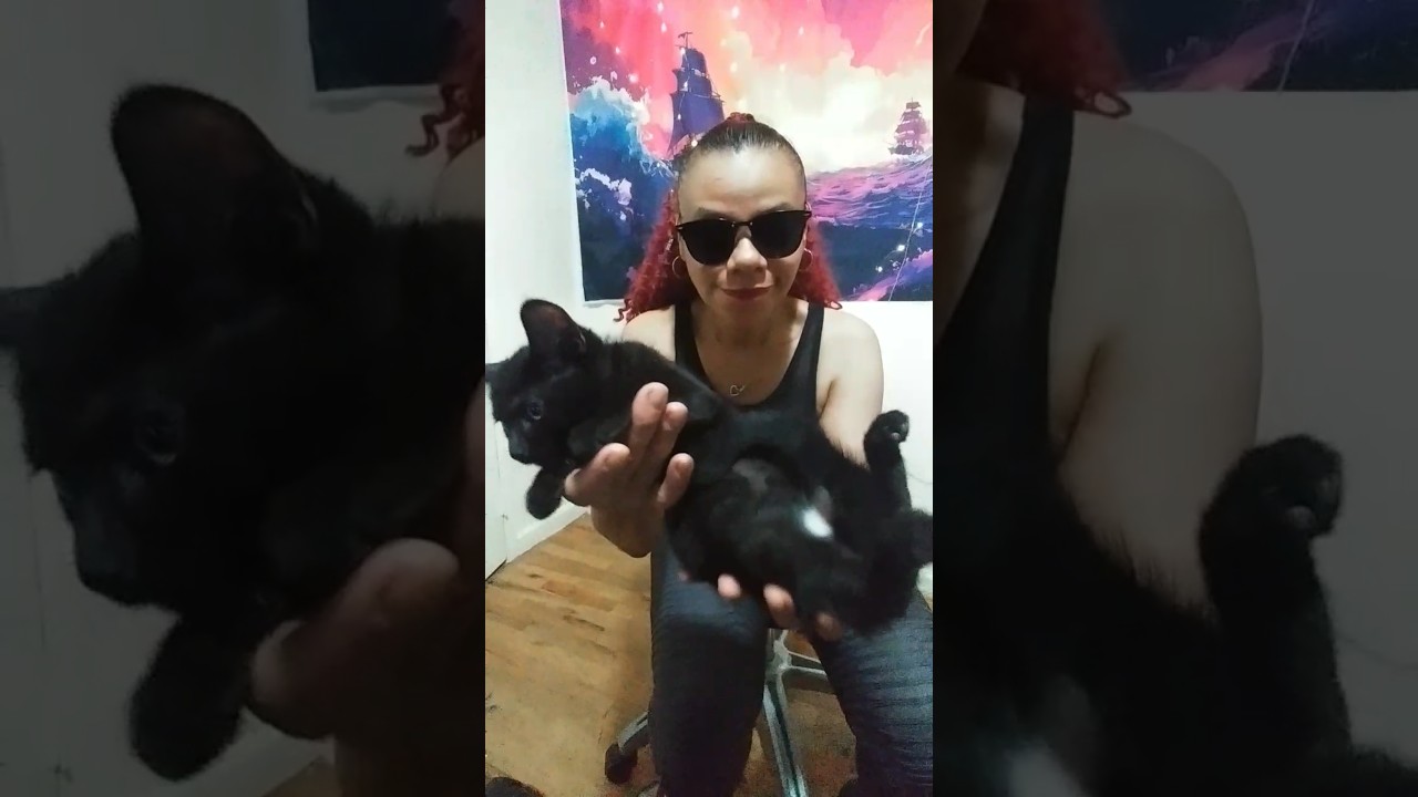 PLEASE HELP US KEEP OUR CAT COM. SAFE!! WATCH 1X!!