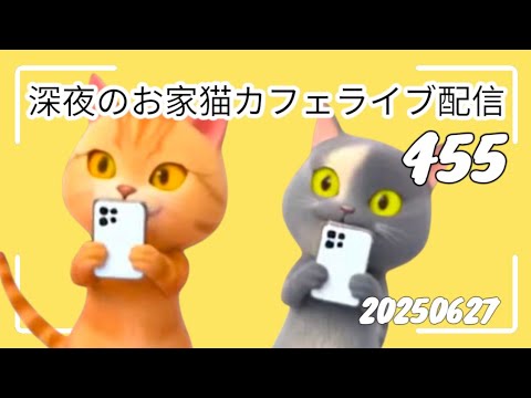 深夜のお家猫カフェライブ配信 ４５５