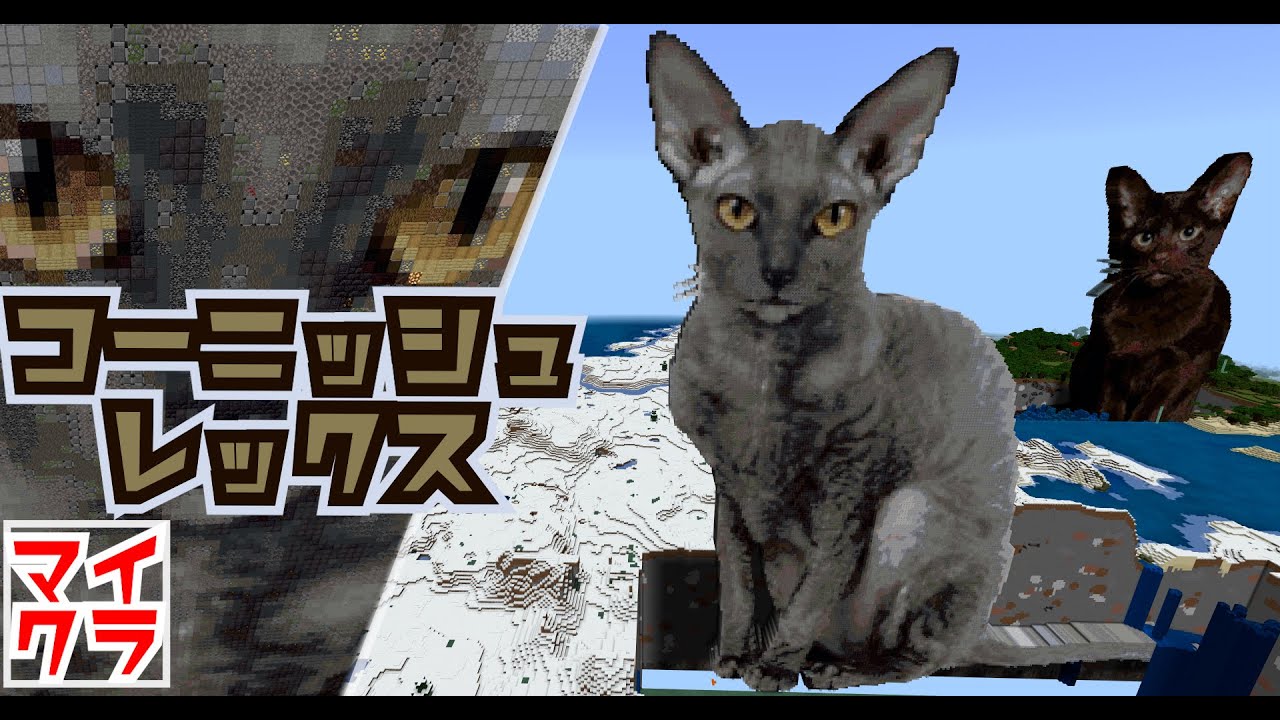 やわらかい巻き毛のねこコーニッシュレックスをマイクラでつくってみた