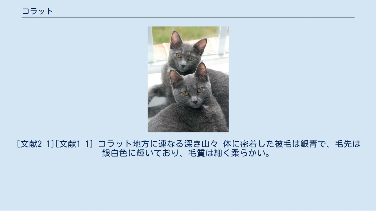 コラット