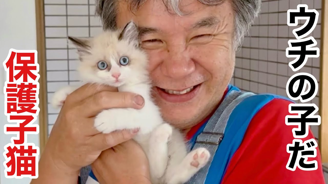 保護子猫に父ちゃんの顔がデレデレすぎて…見てらんないw