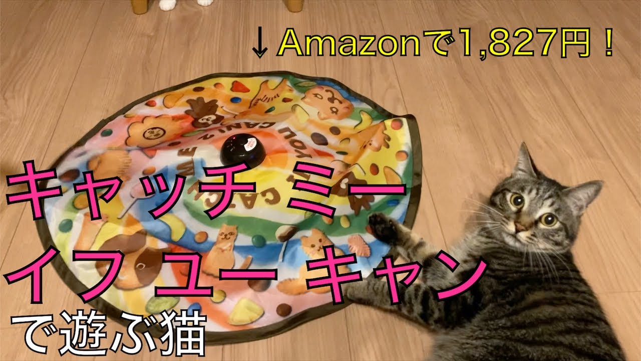 猫のおもちゃ「キャッチミーイフユーキャン2」　catch me if you can 2