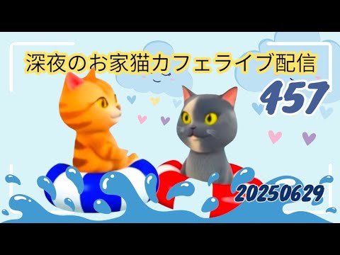 深夜のお家猫カフェライブ配信 ４５７
