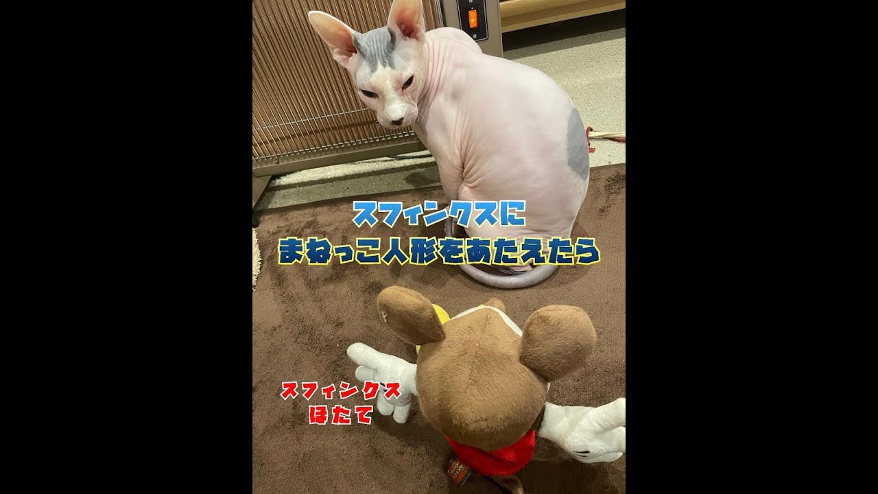【再編集】スフィンクスにまねっこ人形をあたえたら