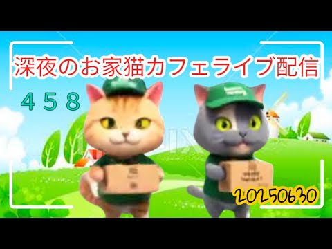 深夜のお家猫カフェライブ配信 ４５８
