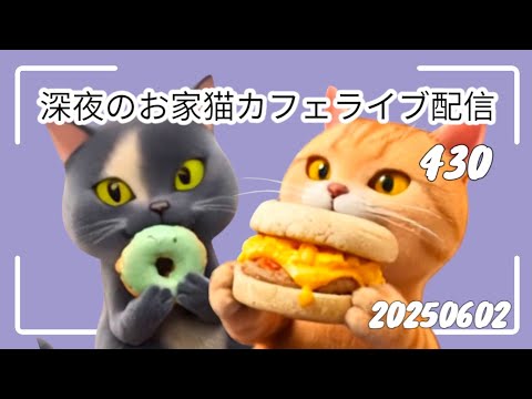 深夜のお家猫カフェライブ配信 ４３０