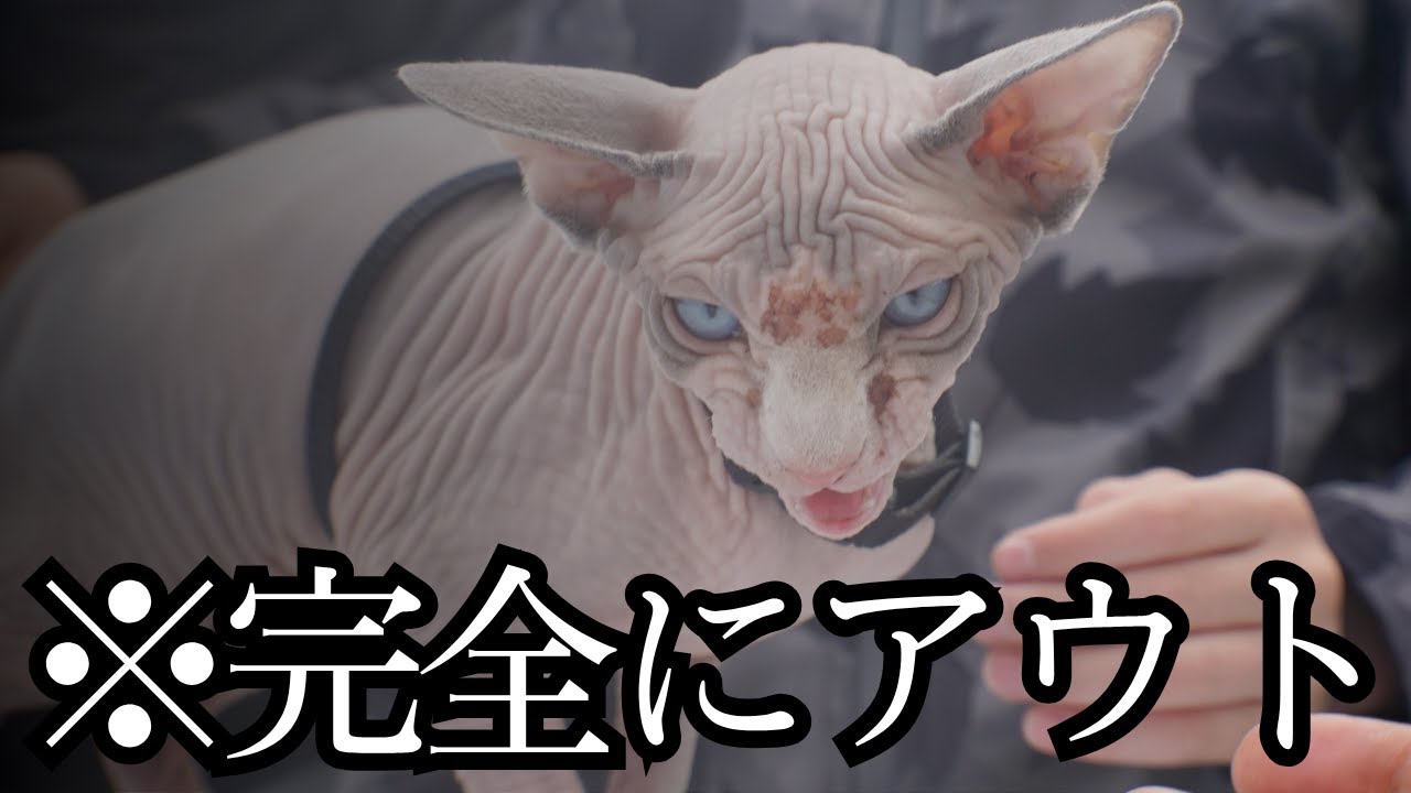 スフィンクスが変態すぎる