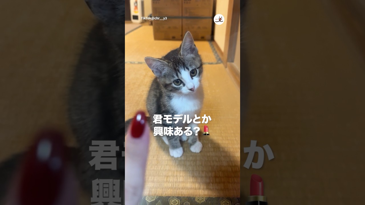 【発掘】可愛い子をスカウトしました｜PECO