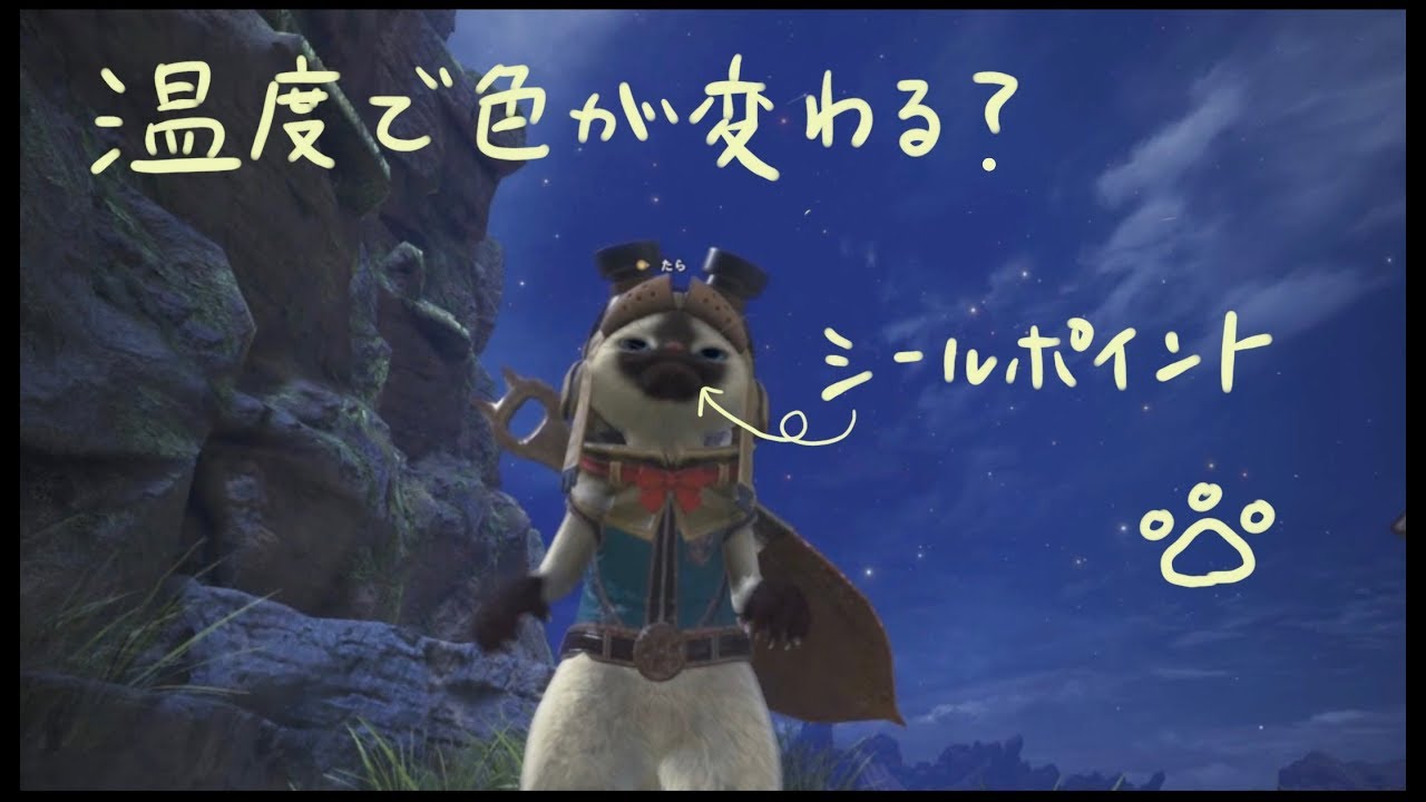 ヒマラヤン　顔のシールポイントの変化（季節編）