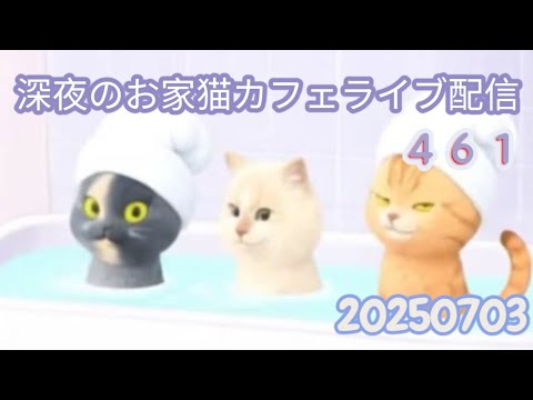 深夜のお家猫カフェライブ配信 ４６１