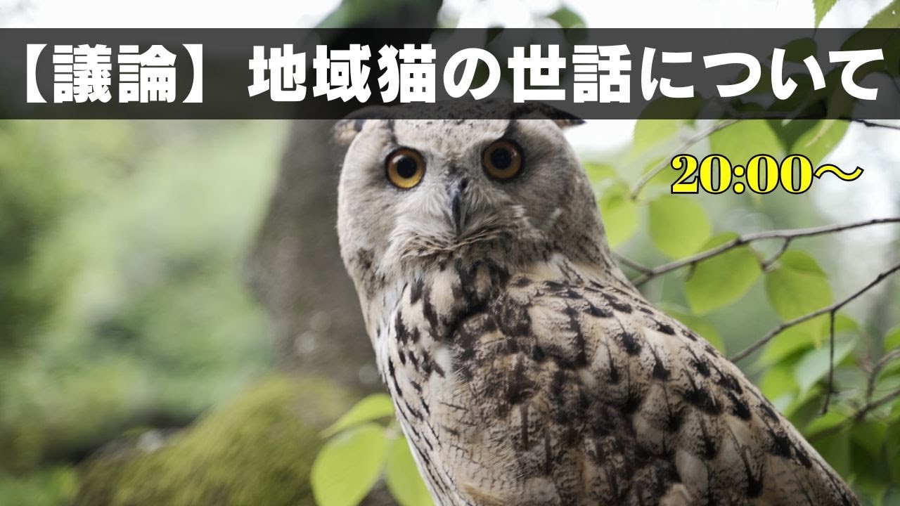 地域猫への餌やり賛成？反対？