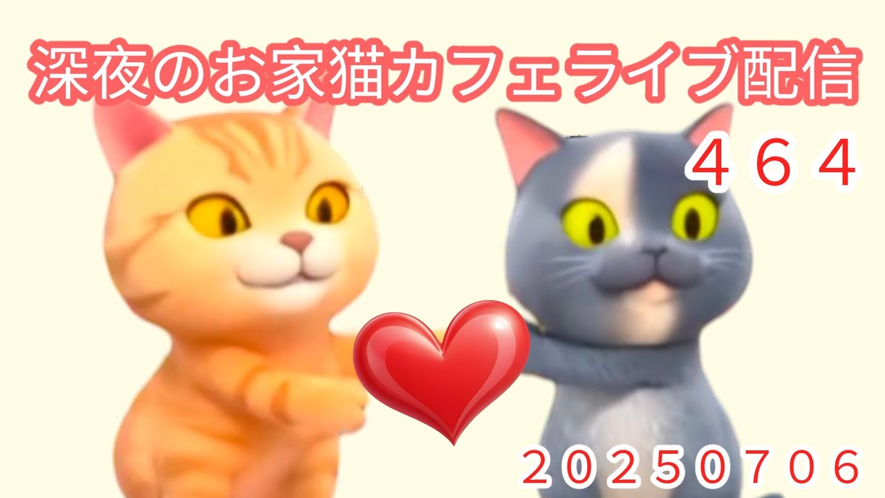 深夜のお家猫カフェライブ配信 ４６４